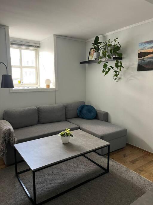 Cozy Ground Floor Apartment Tromsø Esterno foto